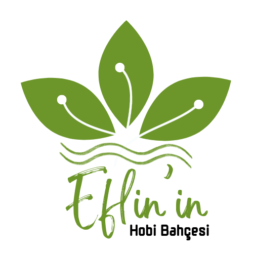 Eflin'in Hobi Bahçesi - Bahçe Kirala Kendi Ürünlerini Yetiştir